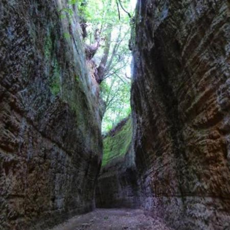 Appartamento La Casa all'Oliveto Pitigliano Esterno foto