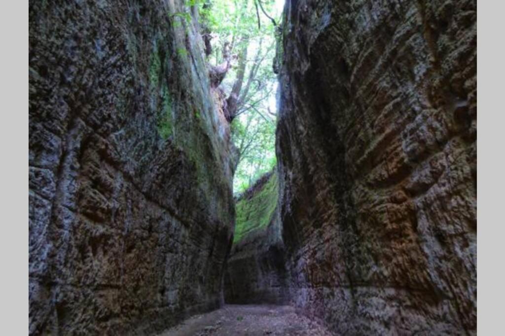 Appartamento La Casa all'Oliveto Pitigliano Esterno foto